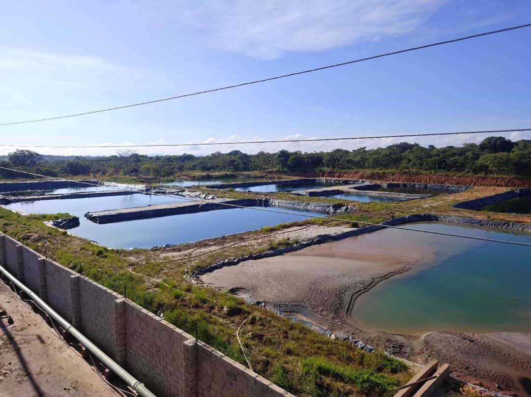 Processing Plant
