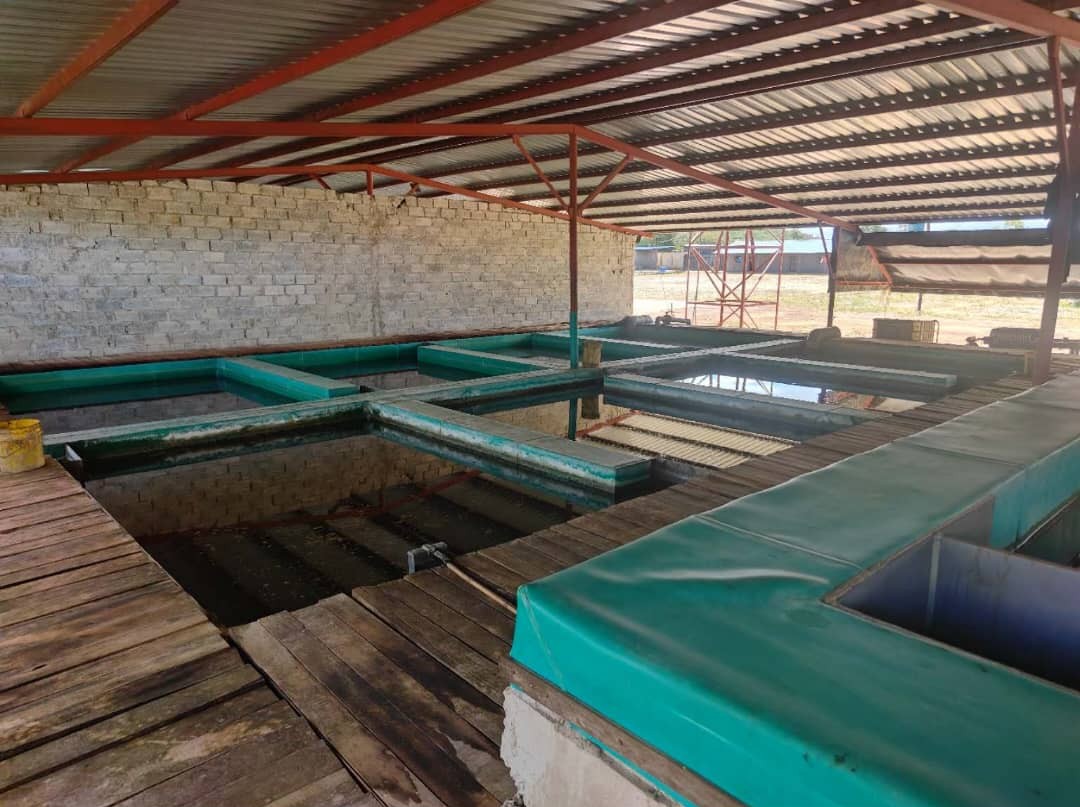 Copper Processing Plant